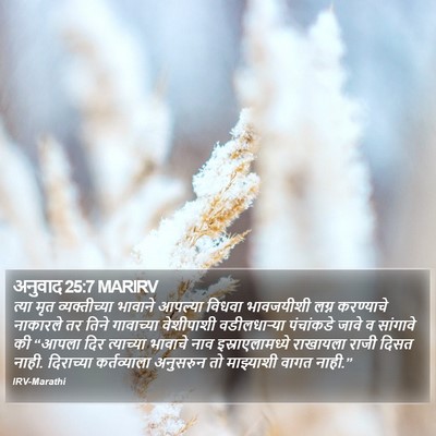 अनुवाद 25:7 MARIRV Bible Verse Image