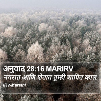 अनुवाद 28:16 MARIRV Bible Verse Image