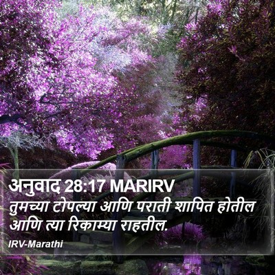 अनुवाद 28:17 MARIRV Bible Verse Image