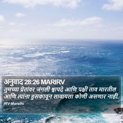 अनुवाद 28:26 MARIRV Bible Verse Image