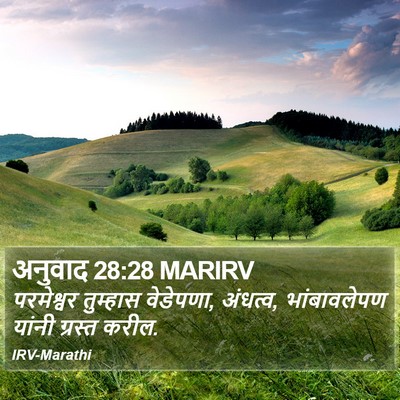 अनुवाद 28:28 MARIRV Bible Verse Image
