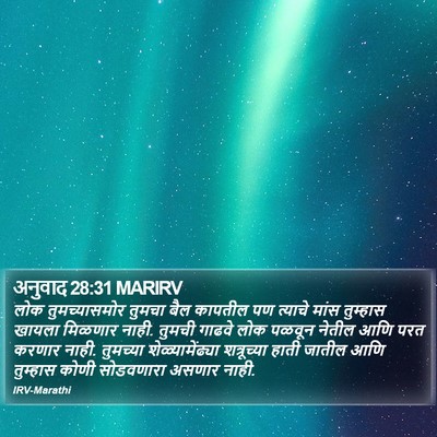 अनुवाद 28:31 MARIRV Bible Verse Image