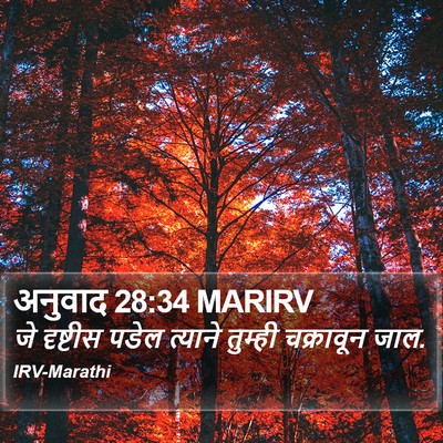 अनुवाद 28:34 MARIRV Bible Verse Image