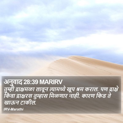 अनुवाद 28:39 MARIRV Bible Verse Image
