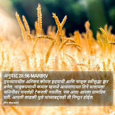 अनुवाद 28:56 MARIRV Bible Verse Image