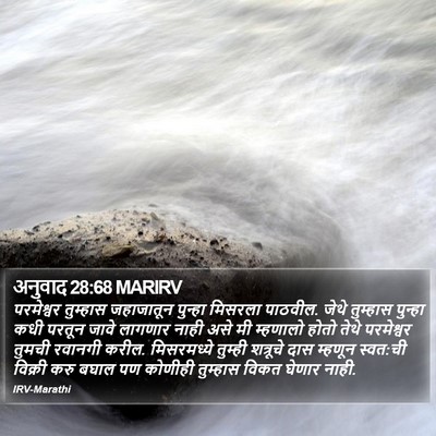 अनुवाद 28:68 MARIRV Bible Verse Image