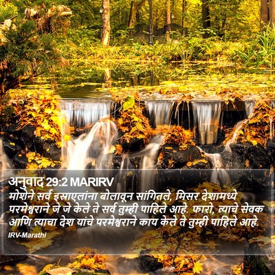अनुवाद 29:2 MARIRV Bible Verse Image