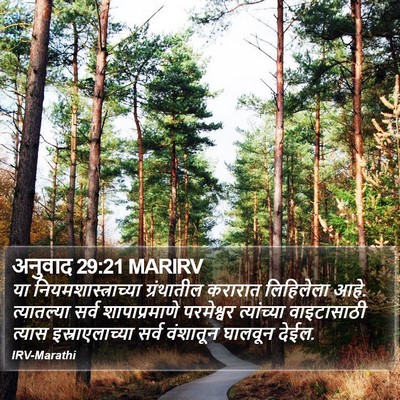 अनुवाद 29:21 MARIRV Bible Verse Image