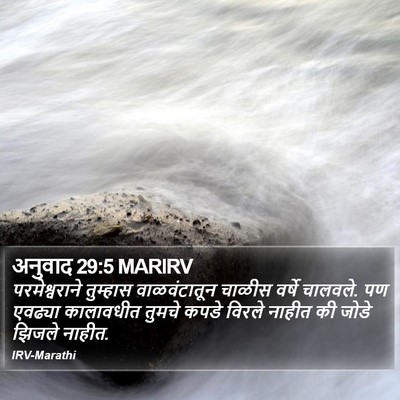 अनुवाद 29:5 MARIRV Bible Verse Image