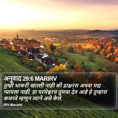 अनुवाद 29:6 MARIRV Bible Verse Image