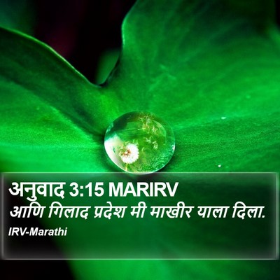 अनुवाद 3:15 MARIRV Bible Verse Image
