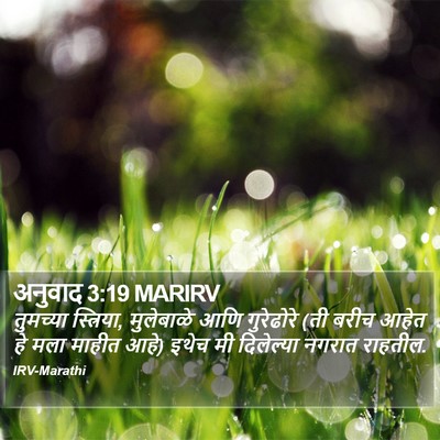 अनुवाद 3:19 MARIRV Bible Verse Image