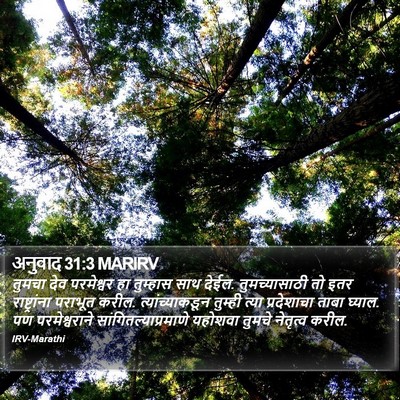 अनुवाद 31:3 MARIRV Bible Verse Image