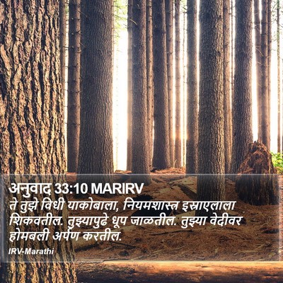 अनुवाद 33:10 MARIRV Bible Verse Image