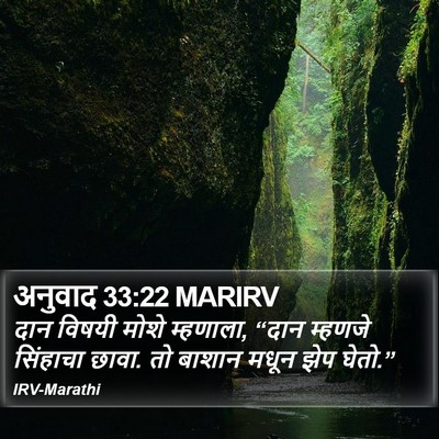 अनुवाद 33:22 MARIRV Bible Verse Image