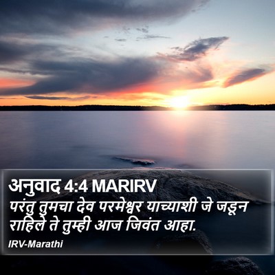 अनुवाद 4:4 MARIRV Bible Verse Image