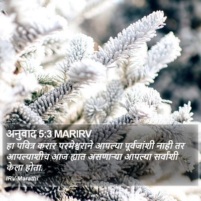 अनुवाद 5:3 MARIRV Bible Verse Image