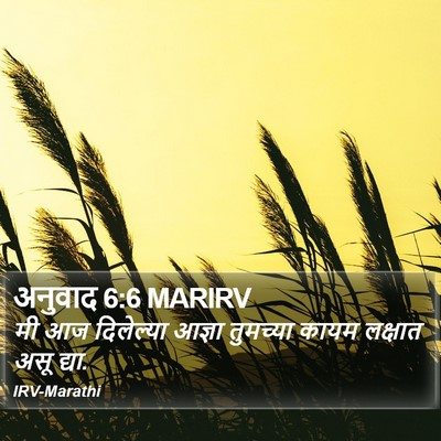 अनुवाद 6:6 MARIRV Bible Verse Image