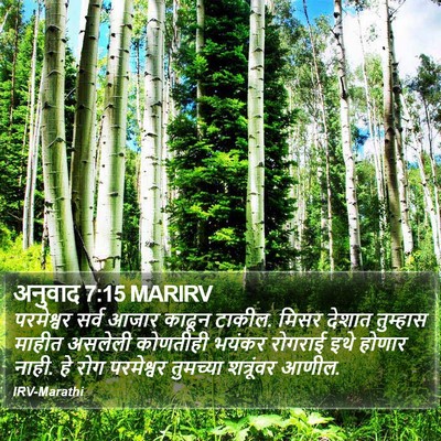 अनुवाद 7:15 MARIRV Bible Verse Image