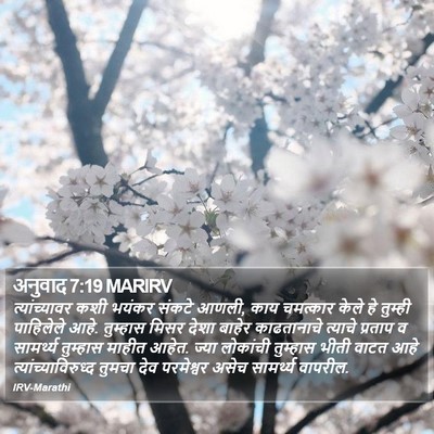 अनुवाद 7:19 MARIRV Bible Verse Image