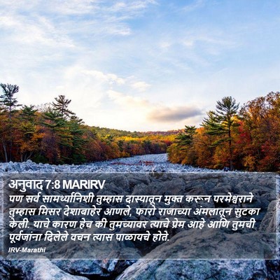 अनुवाद 7:8 MARIRV Bible Verse Image
