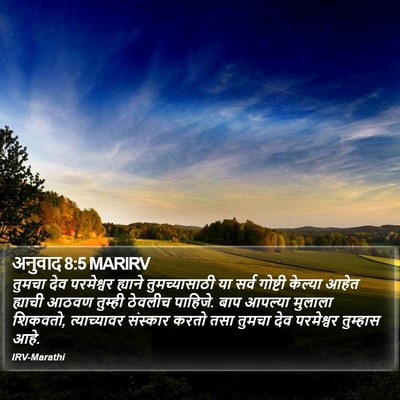 अनुवाद 8:5 MARIRV Bible Verse Image