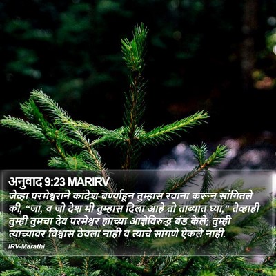 अनुवाद 9:23 MARIRV Bible Verse Image