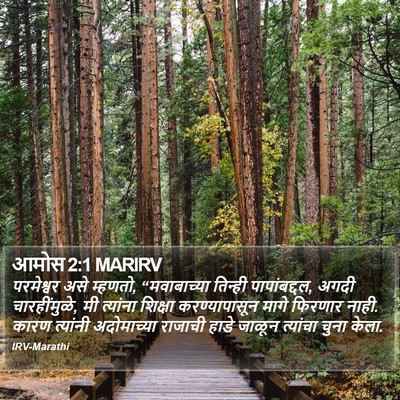 आमोस 2:1 MARIRV Bible Verse Image