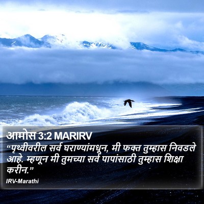 आमोस 3:2 MARIRV Bible Verse Image