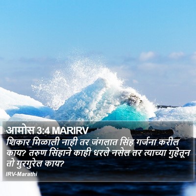 आमोस 3:4 MARIRV Bible Verse Image