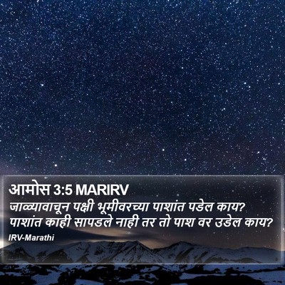 आमोस 3:5 MARIRV Bible Verse Image