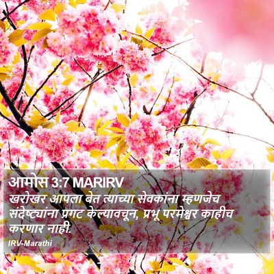आमोस 3:7 MARIRV Bible Verse Image