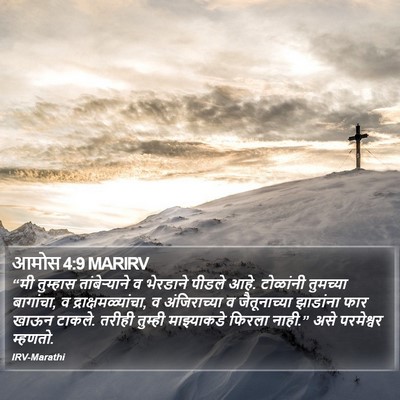 आमोस 4:9 MARIRV Bible Verse Image