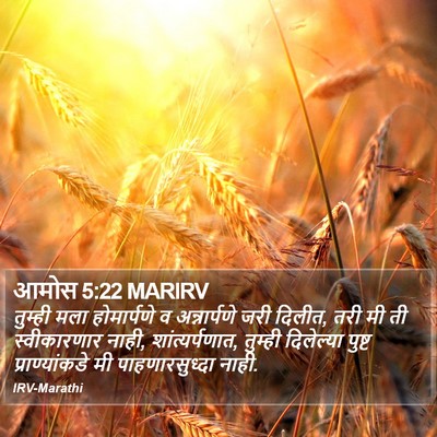 आमोस 5:22 MARIRV Bible Verse Image