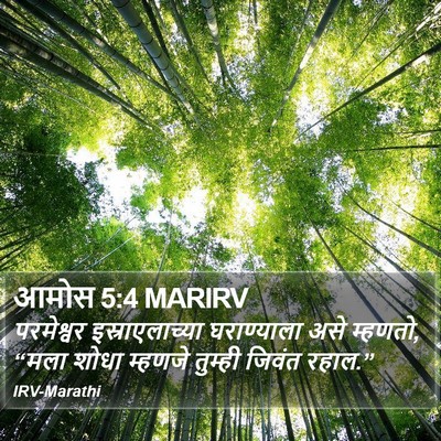 आमोस 5:4 MARIRV Bible Verse Image
