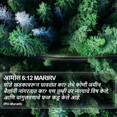 आमोस 6:12 MARIRV Bible Verse Image