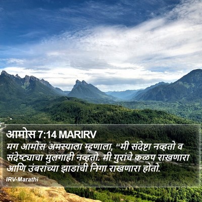 आमोस 7:14 MARIRV Bible Verse Image