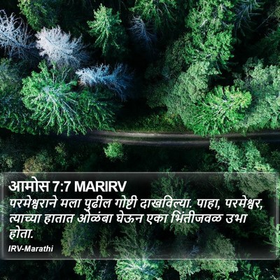 आमोस 7:7 MARIRV Bible Verse Image