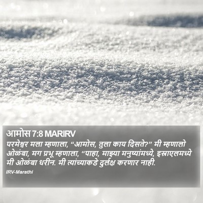 आमोस 7:8 MARIRV Bible Verse Image