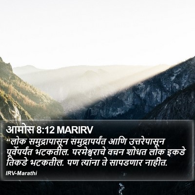 आमोस 8:12 MARIRV Bible Verse Image