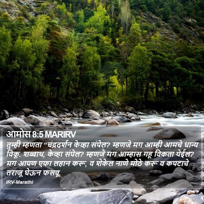 आमोस 8:5 MARIRV Bible Verse Image