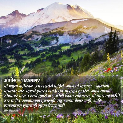 आमोस 9:1 MARIRV Bible Verse Image