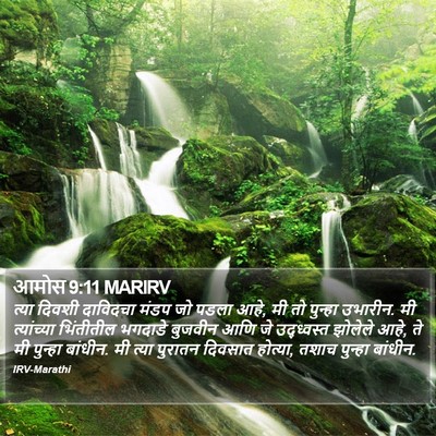 आमोस 9:11 MARIRV Bible Verse Image