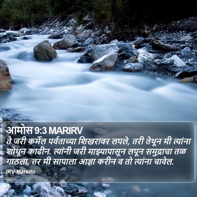 आमोस 9:3 MARIRV Bible Verse Image