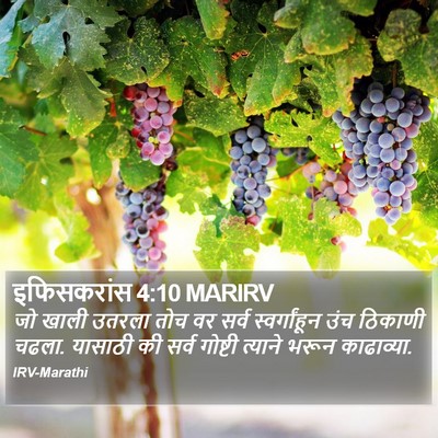 इफिसकरांस 4:10 MARIRV Bible Verse Image