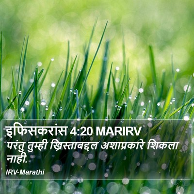 इफिसकरांस 4:20 MARIRV Bible Verse Image