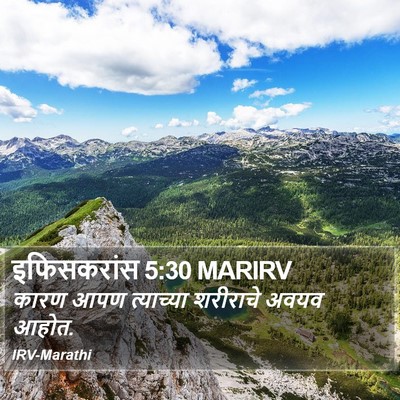 इफिसकरांस 5:30 MARIRV Bible Verse Image