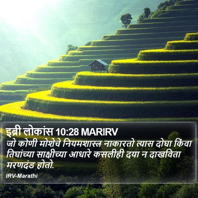 इब्री लोकांस 10:28 MARIRV Bible Verse Image