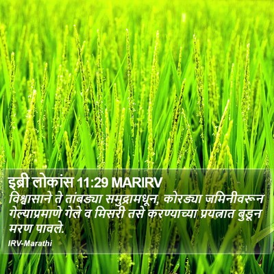 इब्री लोकांस 11:29 MARIRV Bible Verse Image