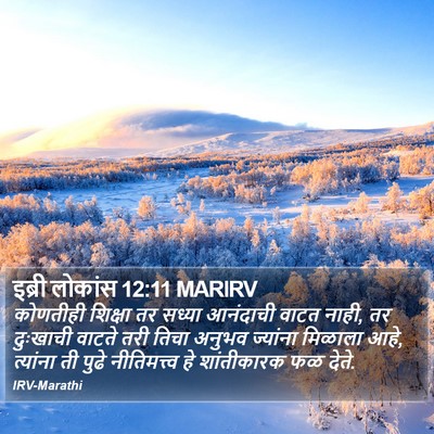 इब्री लोकांस 12:11 MARIRV Bible Verse Image